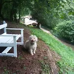 La Casuca Del Bosque *