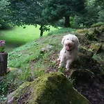 La Casuca Del Bosque