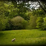 La Casuca Del Bosque Lierganes