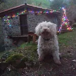 La Casuca Del Bosque Holiday home Lierganes