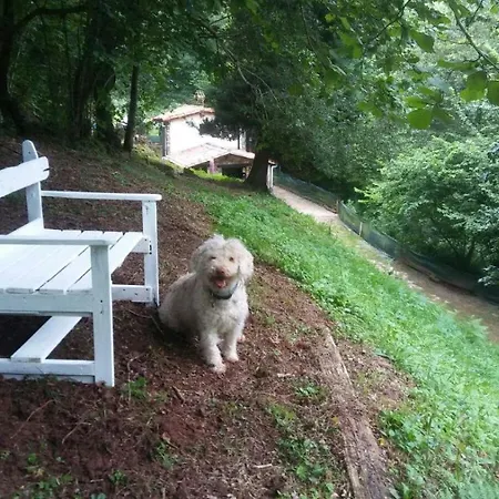 La Casuca Del Bosque *