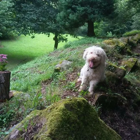 La Casuca Del Bosque