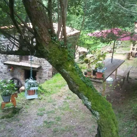 La Casuca Del Bosque