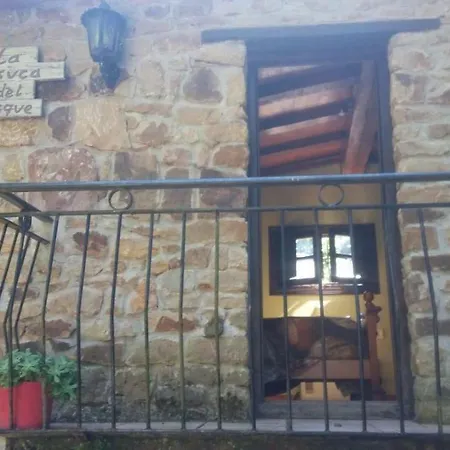 La Casuca Del Bosque