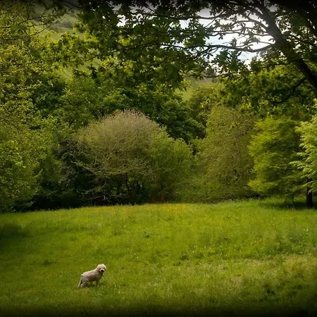 La Casuca Del Bosque Lierganes
