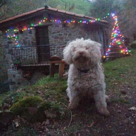 La Casuca Del Bosque Ferienhaus Liérganes