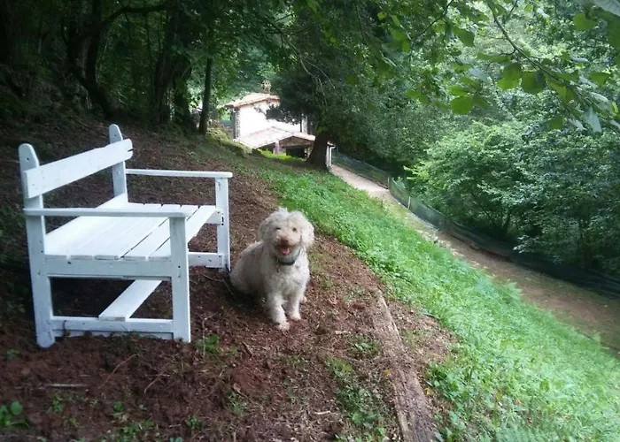 La Casuca Del Bosque *