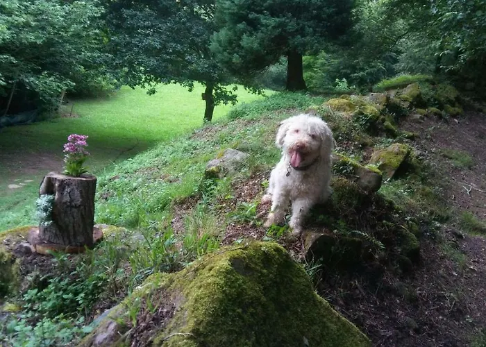 La Casuca Del Bosque
