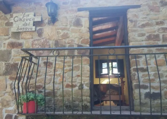 La Casuca Del Bosque