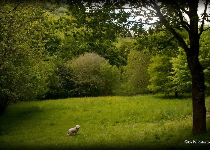 La Casuca Del Bosque Liérganes
