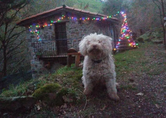 La Casuca Del Bosque Сasa de vacaciones Liérganes